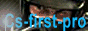 Сайт клана The First.PRO